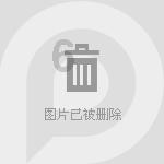 全战：幕府将军2