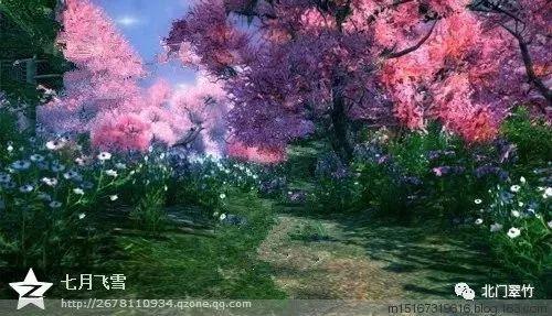 天空中飞得最快的动物是什么游戏画面