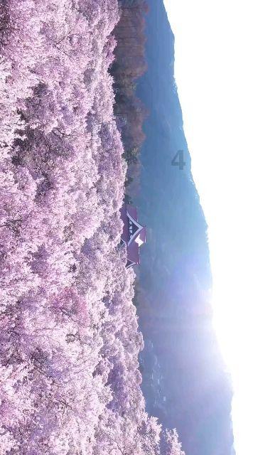 无锡明确涉这6种情形,110报警人可获见义勇为奖励