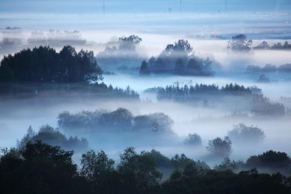 虫虫助手下载