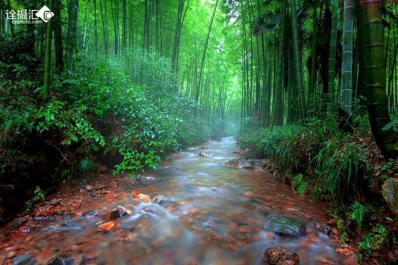 组装机械章鱼龙