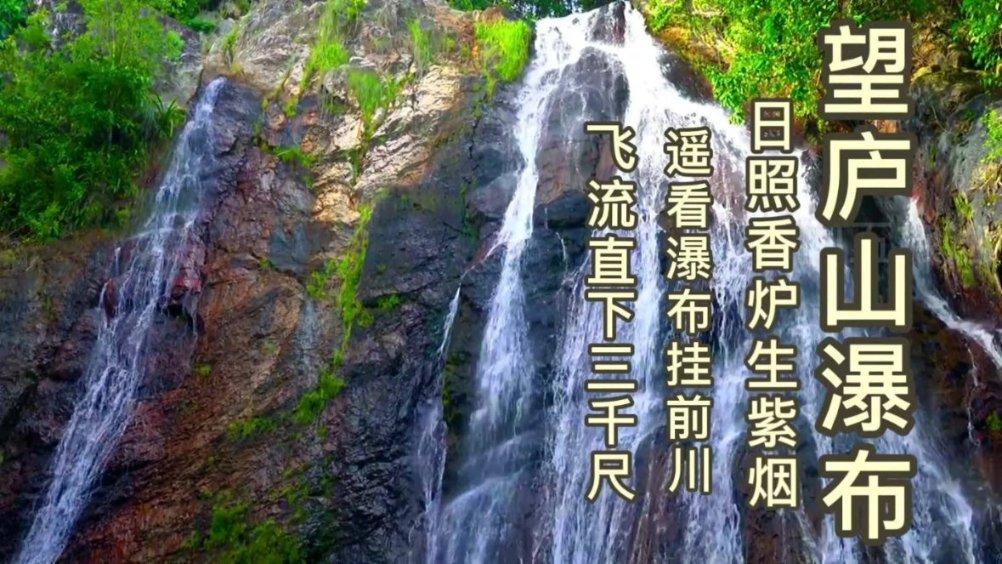 公主的夏季舞会