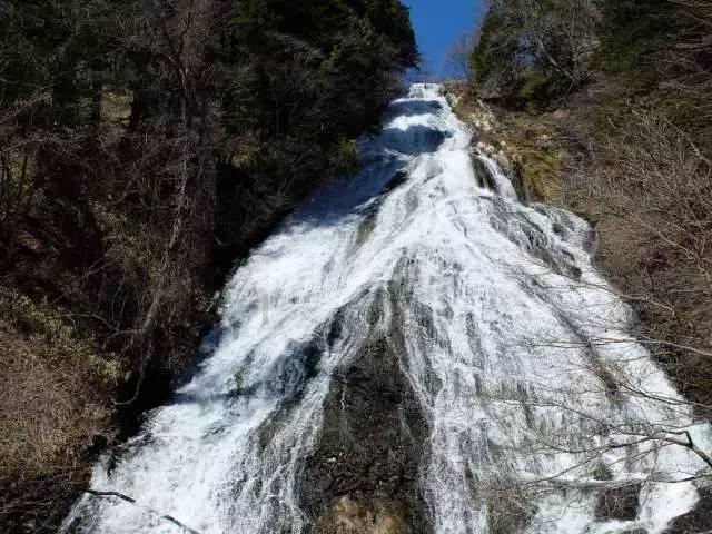 动物帮帮忙保卫家园