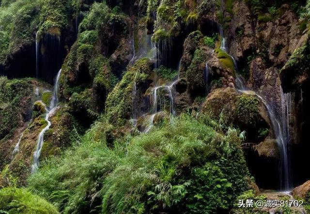 拯救穆尔小马