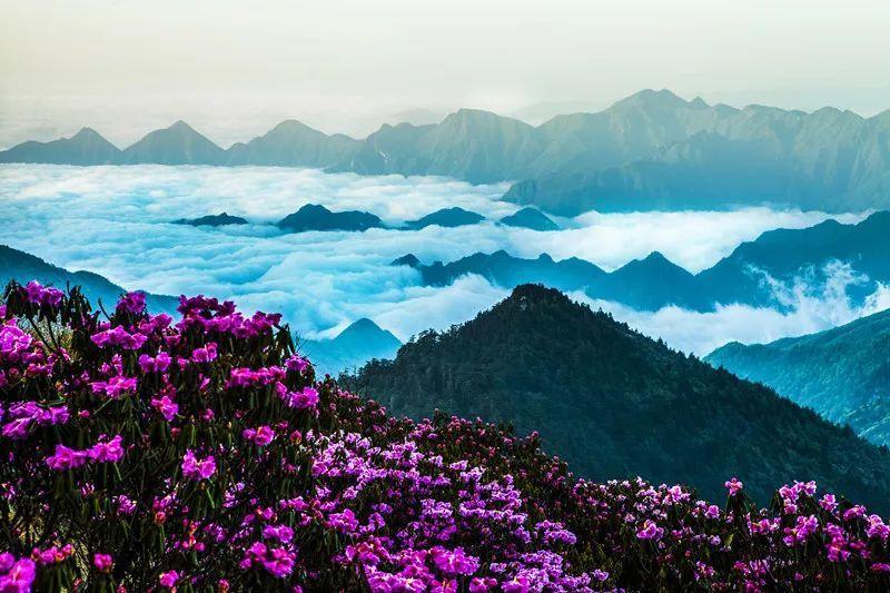 生化危机2