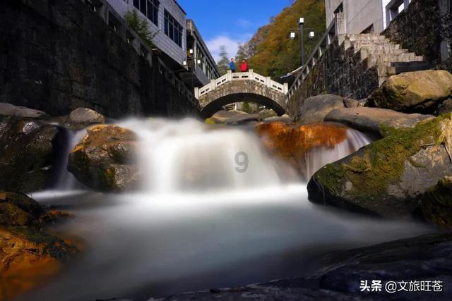大神：绝景版