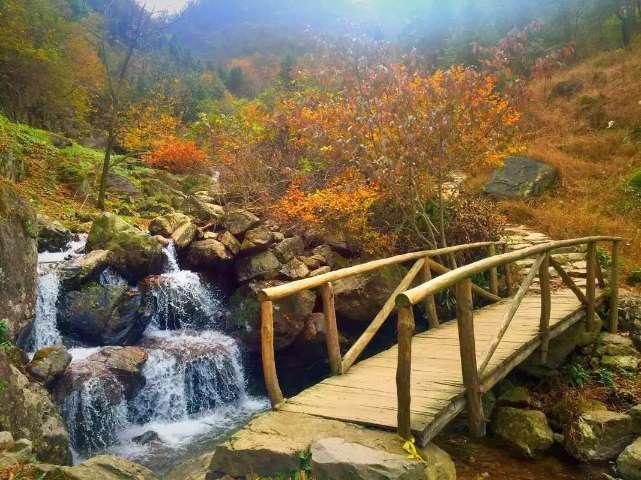 逃离水虎鱼湖