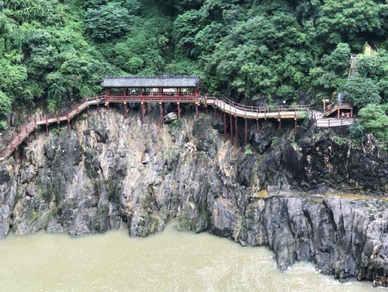 逃离马儿森林
