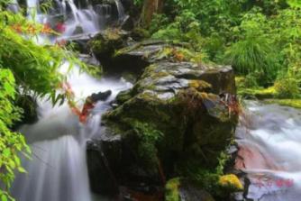 逆水寒