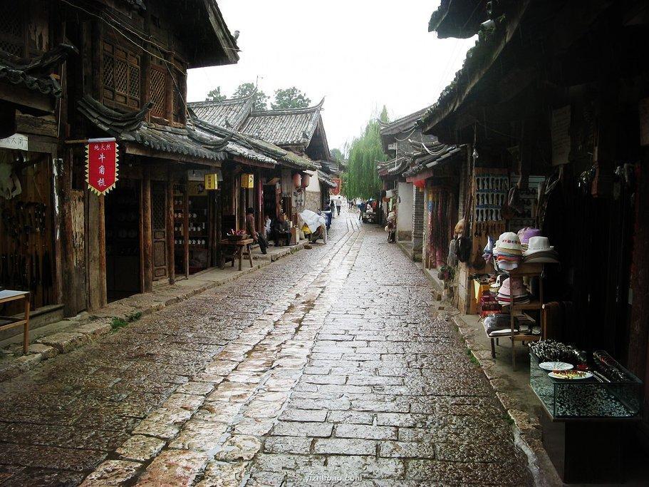 迷雾求生
